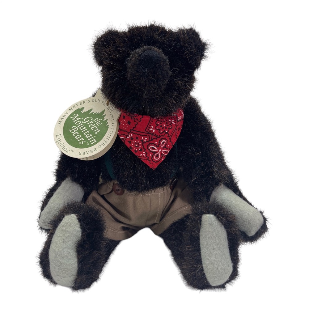 1993 Equinox The Green Mountain Jointed Bear Designed By Carol Carini